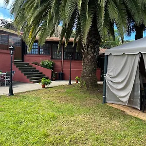 Ceiba , El Rosario (Tenerife) España